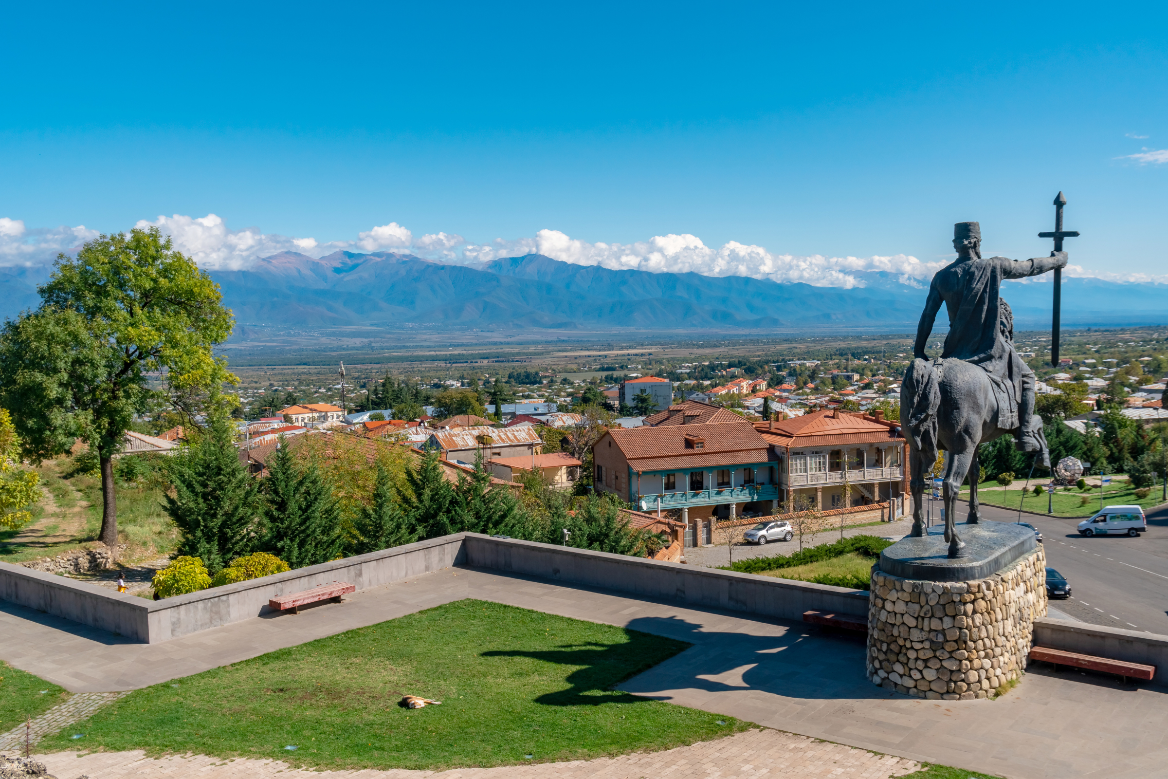 telavi (2).webp